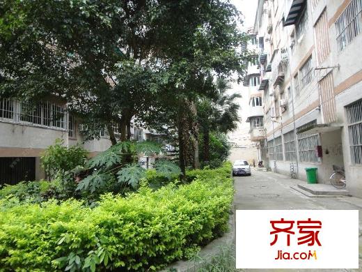南寧市面粉廠宿舍外景圖