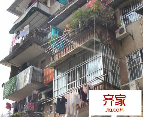 南寧十中宿舍區(qū)外景圖5
