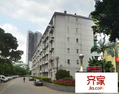 區(qū)體委宿舍外景圖區(qū)體育局宿舍4