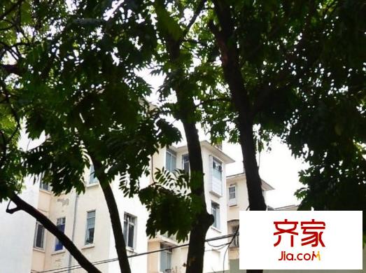 區(qū)建材行業(yè)管理辦宿舍外景圖建材局職工宿舍