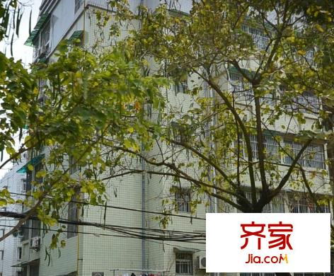 警官學(xué)校教職工宿舍
