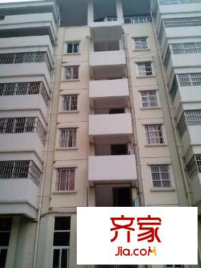 麗安居小區(qū)外景圖  1