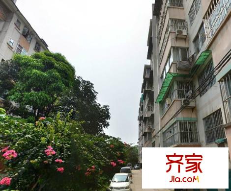 紅會(huì)醫(yī)院生活區(qū)外景圖  5