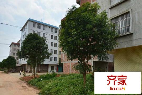 金象四區(qū)外景圖1
