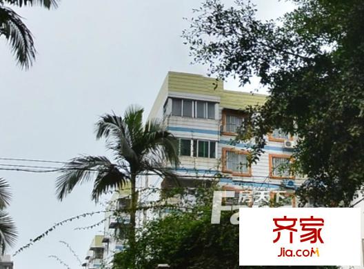 壯寧工業(yè)園外景圖3