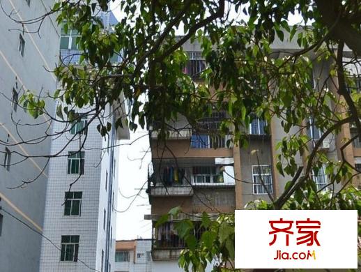 明秀地稅局宿舍外景圖