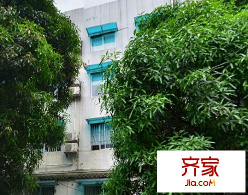 舊區(qū)防疫站宿舍外景圖4