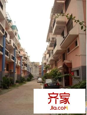 金康鳳江苑外景圖405250508300