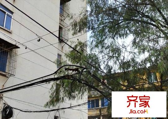 區(qū)供銷社宿舍外景圖