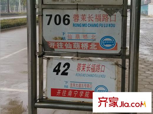 常青藤公交站點