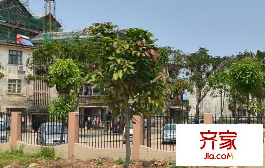 花卉公園生活區(qū)外景圖18