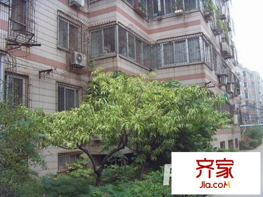 市土產(chǎn)公司宿舍外景圖3