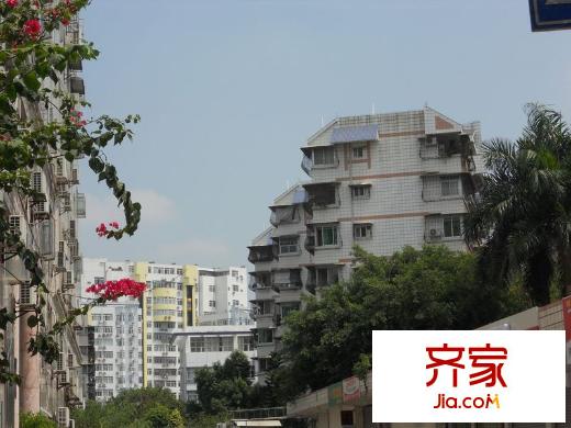 工行宿舍外景圖DSCN0327_nEO_IMG