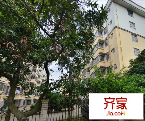 南寧電廠五一東路宿舍外景圖電廠五一東路宿舍4