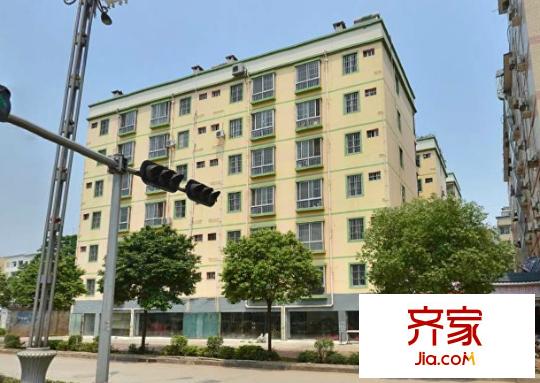 金州花園外景圖  10