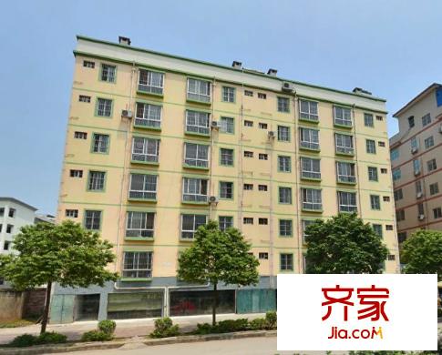 金州花園外景圖  11