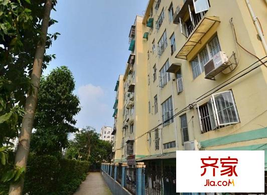 茶葉進出口公司宿舍外景圖3