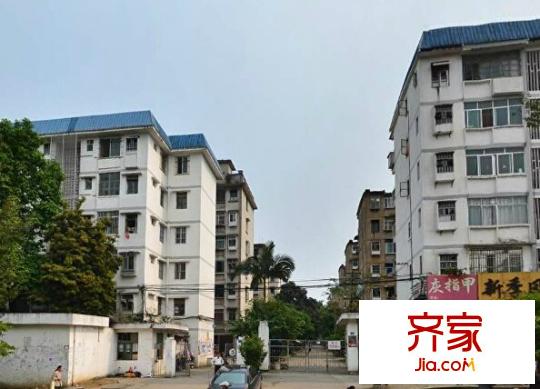 合纖維廠第三生活區(qū)外景圖1