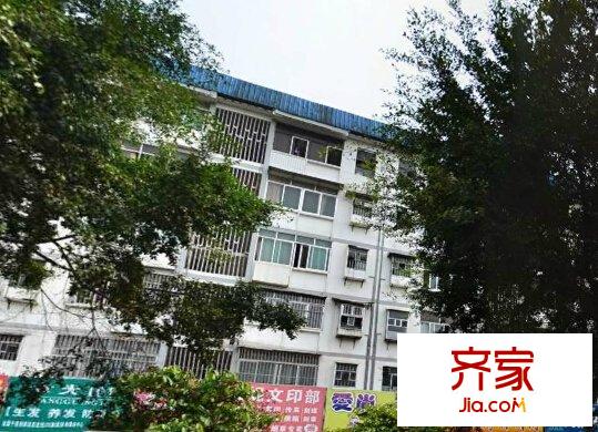合纖維廠第三生活區(qū)外景圖8