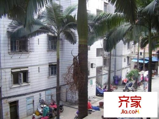 新秀小區(qū)外景圖 