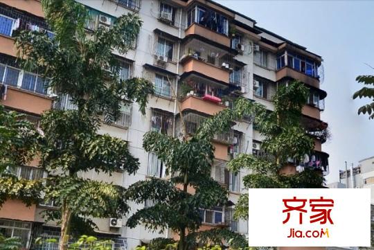茶葉進(jìn)出口公司宿舍外景圖