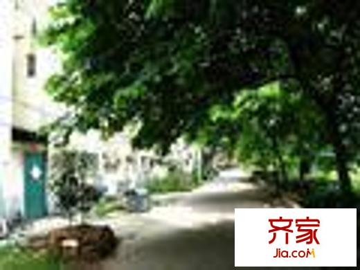 天香國際