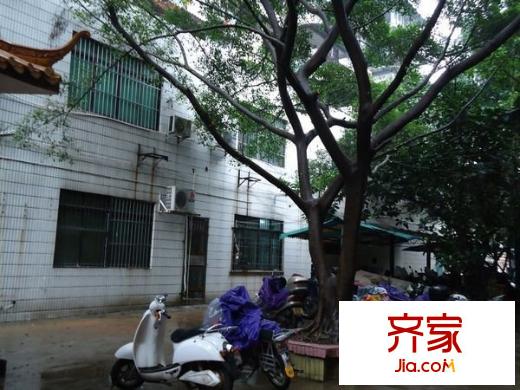 大學(xué)東路單位房外景圖 