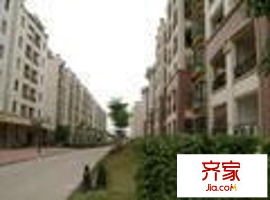 金騰莫村半島外景圖2