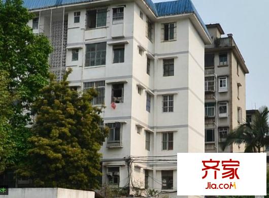 合纖維廠第三生活區(qū)外景圖2