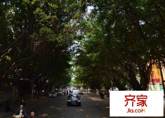 金花茶小區(qū)外景圖4