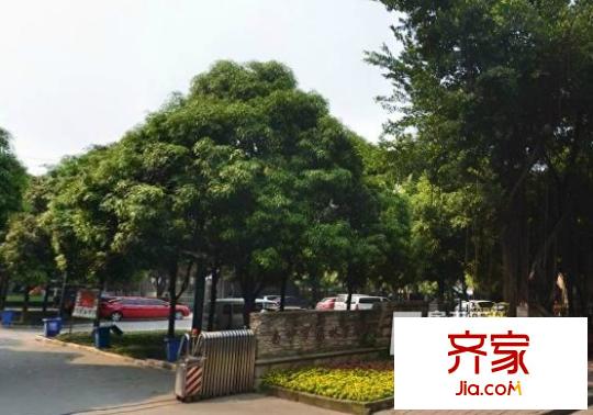 金花茶小區(qū)外景圖7
