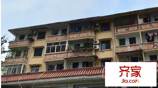 教育路電信局宿舍外景圖9