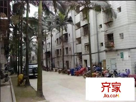 新秀小區(qū)外景圖 