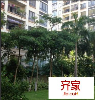 皇庭翡翠灣外景圖11
