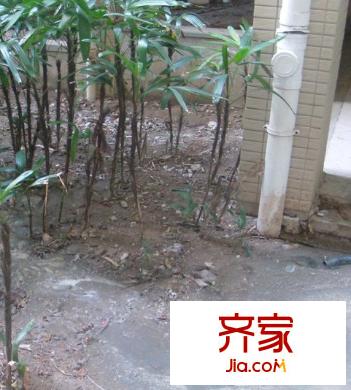 皇庭翡翠灣外景圖2