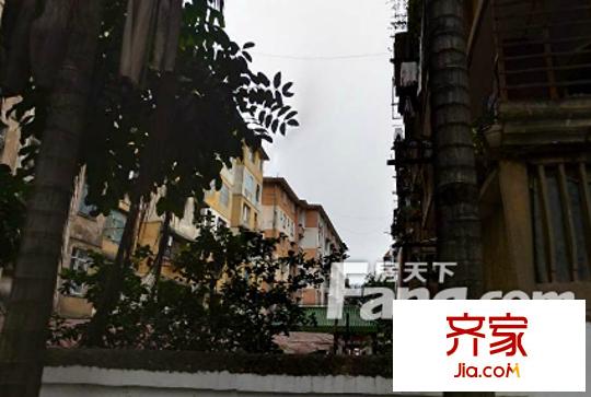 廣西二建宿舍外景圖 3