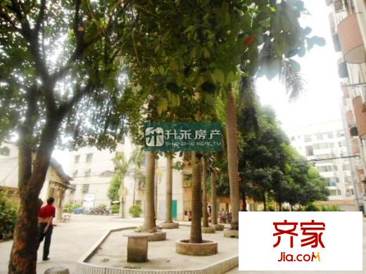 大學(xué)東路單位房外景圖 