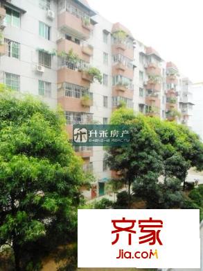 大學(xué)東路單位房外景圖 