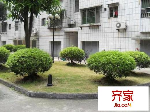葛村路廣電局宿舍外景圖 