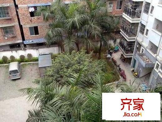 友愛公寓外景圖 