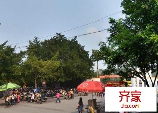 金花茶小區(qū)外景圖6