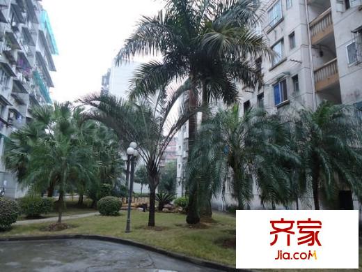 桃源路單位房外景圖 