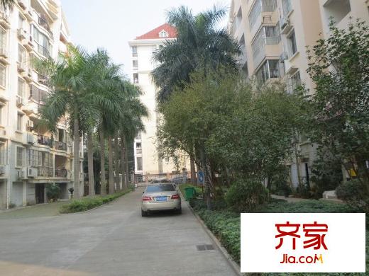 南湖公路局宿舍外景圖 