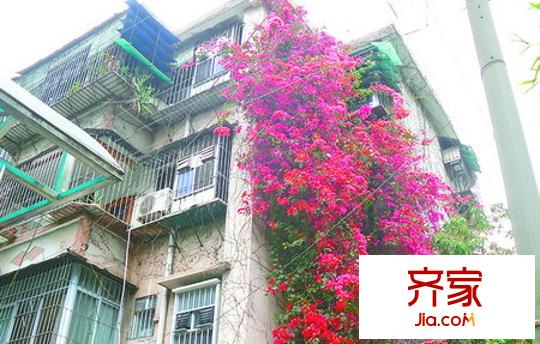 南鐵紫荊苑外景圖1