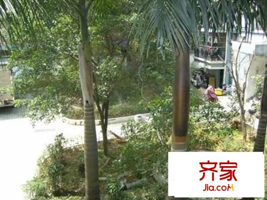 友愛公寓外景圖 