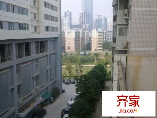 紫荊花園外景圖 