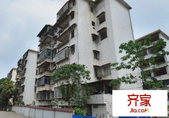 植物路信托公司宿舍外景圖植物路單位房