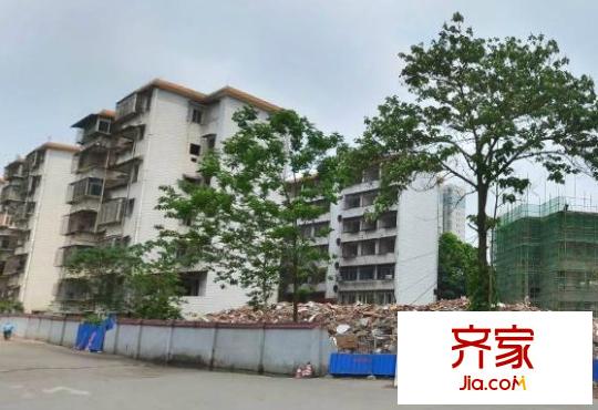 植物路信托公司宿舍