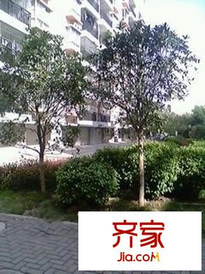 榮寶華星光大廈外景圖 