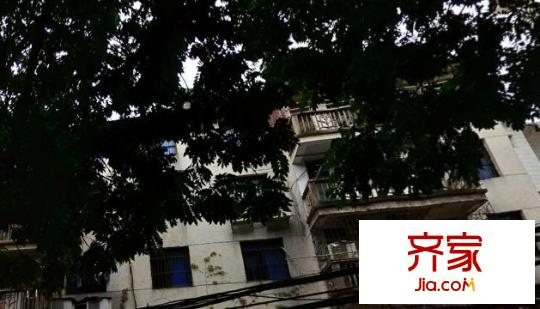 區(qū)政協(xié)宿舍外景圖4